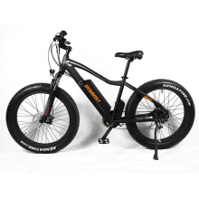 26 inch e bike electric bike 750W electric fat tire bicycle mountain ebike